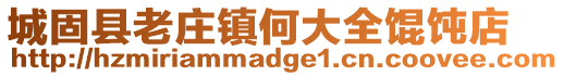 城固縣老莊鎮何大全餛飩店