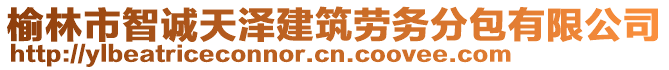 榆林市智誠天澤建筑勞務(wù)分包有限公司