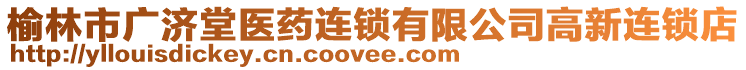 榆林市廣濟(jì)堂醫(yī)藥連鎖有限公司高新連鎖店