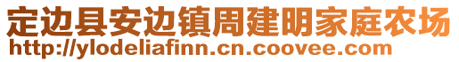 定边县安边镇周建明家庭农场