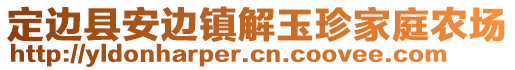 定边县安边镇解玉珍家庭农场