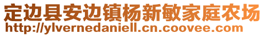 定边县安边镇杨新敏家庭农场