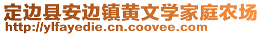 定边县安边镇黄文学家庭农场