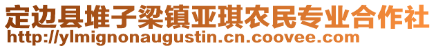 定边县堆子梁镇亚琪农民专业合作社