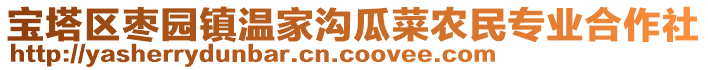 寶塔區(qū)棗園鎮(zhèn)溫家溝瓜菜農民專業(yè)合作社