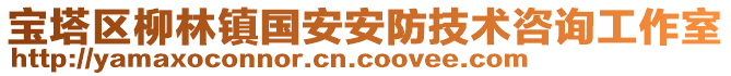 寶塔區(qū)柳林鎮(zhèn)國(guó)安安防技術(shù)咨詢工作室