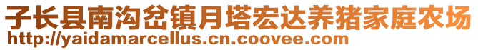 子长县南沟岔镇月塔宏达养猪家庭农场