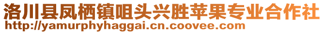 洛川縣鳳棲鎮(zhèn)咀頭興勝蘋(píng)果專業(yè)合作社