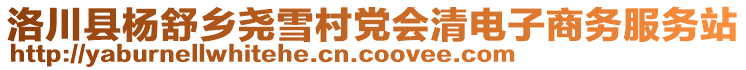 洛川縣楊舒鄉(xiāng)堯雪村黨會清電子商務(wù)服務(wù)站