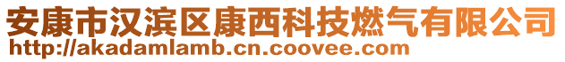 安康市漢濱區(qū)康西科技燃氣有限公司