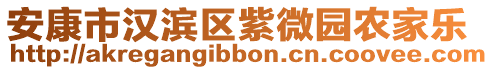 安康市漢濱區(qū)紫微園農(nóng)家樂