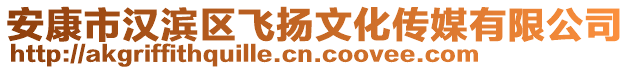 安康市漢濱區飛揚文化傳媒有限公司
