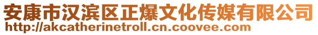 安康市漢濱區(qū)正爆文化傳媒有限公司