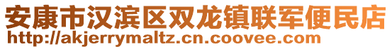 安康市漢濱區(qū)雙龍鎮(zhèn)聯(lián)軍便民店