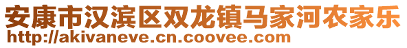 安康市漢濱區(qū)雙龍鎮(zhèn)馬家河農(nóng)家樂