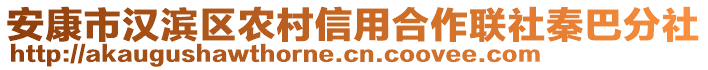 安康市漢濱區(qū)農(nóng)村信用合作聯(lián)社秦巴分社