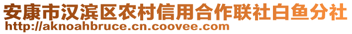 安康市漢濱區(qū)農(nóng)村信用合作聯(lián)社白魚(yú)分社