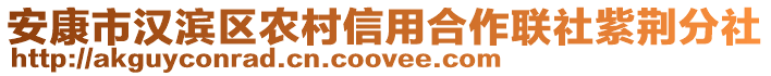 安康市漢濱區(qū)農(nóng)村信用合作聯(lián)社紫荊分社