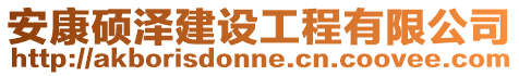 安康碩澤建設工程有限公司