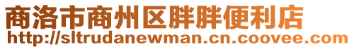 商洛市商州區(qū)胖胖便利店