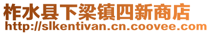 柞水縣下梁鎮(zhèn)四新商店