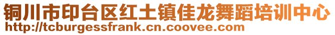 銅川市印臺區(qū)紅土鎮(zhèn)佳龍舞蹈培訓(xùn)中心