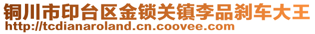 銅川市印臺區(qū)金鎖關鎮(zhèn)李品剎車大王