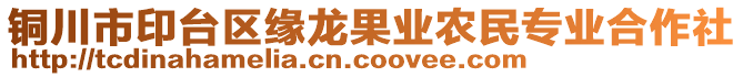 铜川市印台区缘龙果业农民专业合作社