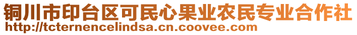 铜川市印台区可民心果业农民专业合作社