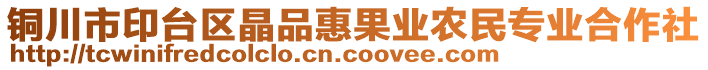 銅川市印臺(tái)區(qū)晶品惠果業(yè)農(nóng)民專(zhuān)業(yè)合作社