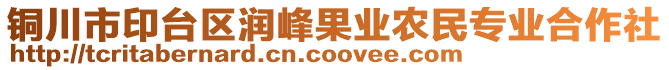 銅川市印臺(tái)區(qū)潤(rùn)峰果業(yè)農(nóng)民專(zhuān)業(yè)合作社