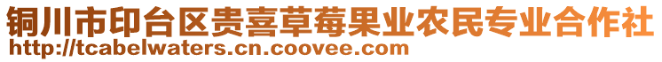 銅川市印臺(tái)區(qū)貴喜草莓果業(yè)農(nóng)民專業(yè)合作社