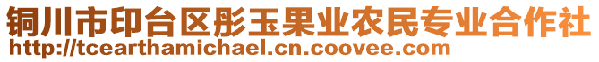 銅川市印臺區(qū)彤玉果業(yè)農(nóng)民專業(yè)合作社