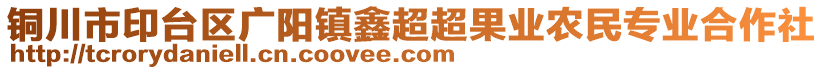 銅川市印臺區(qū)廣陽鎮(zhèn)鑫超超果業(yè)農(nóng)民專業(yè)合作社