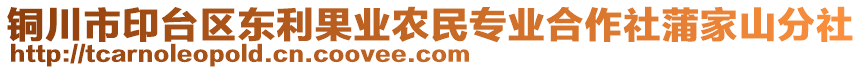 銅川市印臺區(qū)東利果業(yè)農(nóng)民專業(yè)合作社蒲家山分社