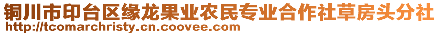 銅川市印臺區(qū)緣龍果業(yè)農(nóng)民專業(yè)合作社草房頭分社