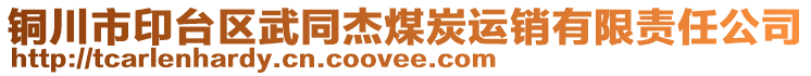 銅川市印臺區(qū)武同杰煤炭運銷有限責(zé)任公司