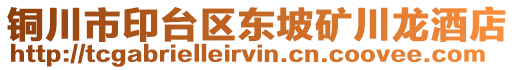 銅川市印臺區(qū)東坡礦川龍酒店