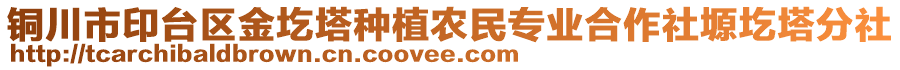 銅川市印臺區(qū)金圪塔種植農(nóng)民專業(yè)合作社塬圪塔分社