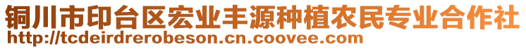 銅川市印臺區(qū)宏業(yè)豐源種植農(nóng)民專業(yè)合作社