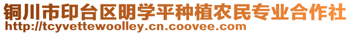 銅川市印臺(tái)區(qū)明學(xué)平種植農(nóng)民專(zhuān)業(yè)合作社