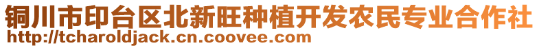 銅川市印臺(tái)區(qū)北新旺種植開發(fā)農(nóng)民專業(yè)合作社