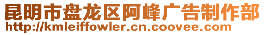 昆明市盤龍區(qū)阿峰廣告制作部