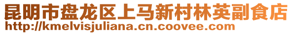 昆明市盤龍區(qū)上馬新村林英副食店