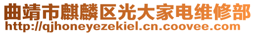 曲靖市麒麟?yún)^(qū)光大家電維修部