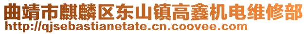 曲靖市麒麟区东山镇高鑫机电维修部