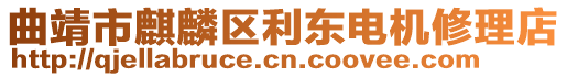 曲靖市麒麟区利东电机修理店