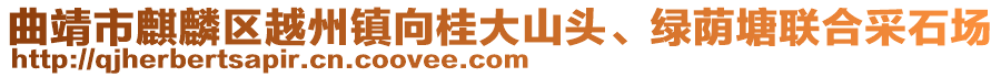 曲靖市麒麟?yún)^(qū)越州鎮(zhèn)向桂大山頭、綠蔭塘聯(lián)合采石場