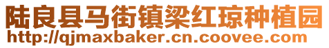 陆良县马街镇梁红琼种植园