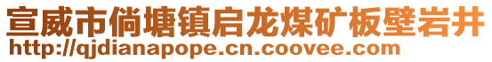 宣威市倘塘鎮(zhèn)啟龍煤礦板壁巖井